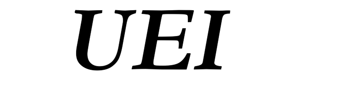 The Urban Equity Institute